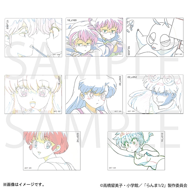 らんま1/2 　原画スクエア缶バッジ　コンプリートBOX